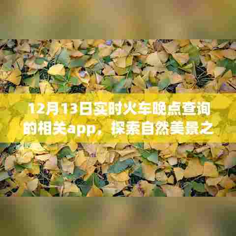 12月13日实时火车晚点查询App,自然美景之旅的贴心助手