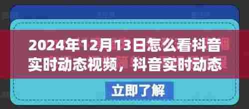 如何观看抖音实时动态视频，观察与反思在2024年12月13日的视角