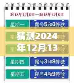 时光轻抚下的生死实时更新，爱与陪伴的温馨日常预测（2024年12月13日）