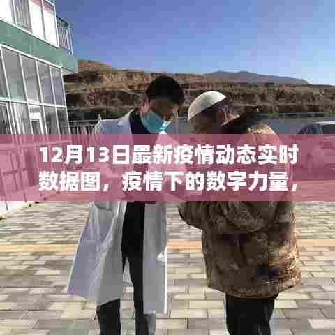疫情动态实时数据图,自我超越与希望之光闪耀十二月十三日