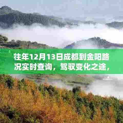 成都至金阳路况实时查询,驾驭变化,一路前行与成长