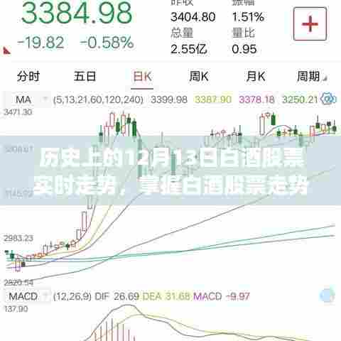 历史上的12月13日白酒股票走势深度解析，实时走势分析与指南，适合初学者与进阶用户参考