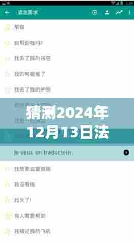 揭秘法国顶级银行卡实时记账软件，未来已至，展望2024年的创新与变革之路。