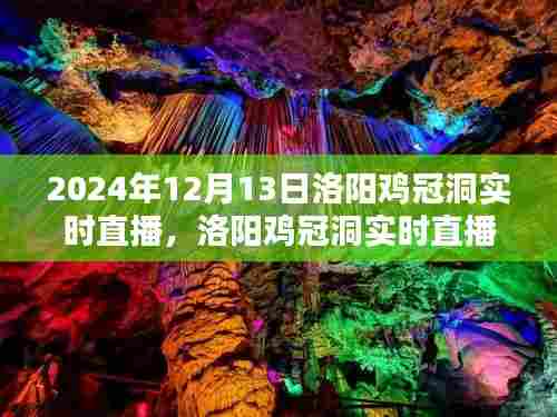 2024年洛阳鸡冠洞实时直播深度体验与对比分析