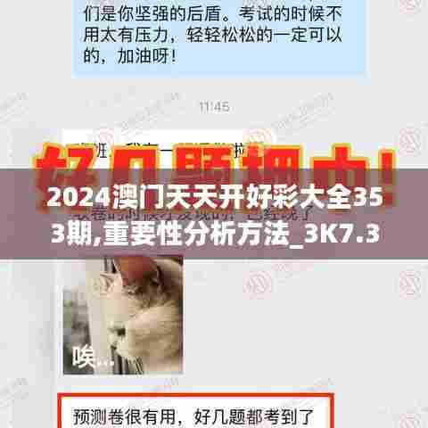 2024澳门天天开好彩大全353期,重要性分析方法_3K7.339