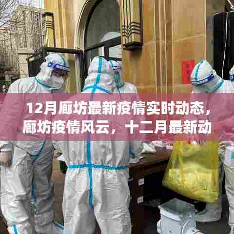 廊坊疫情风云变幻，十二月最新动态揭示抗疫之路实时更新