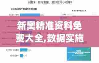 新奥精准资料免费大全,数据实施导向_粉丝款8.242