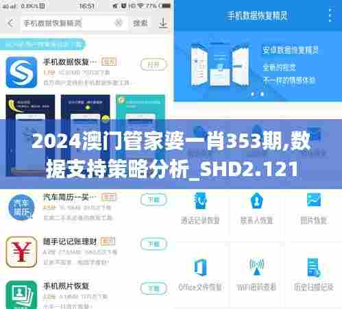 2024澳门管家婆一肖353期,数据支持策略分析_SHD2.121