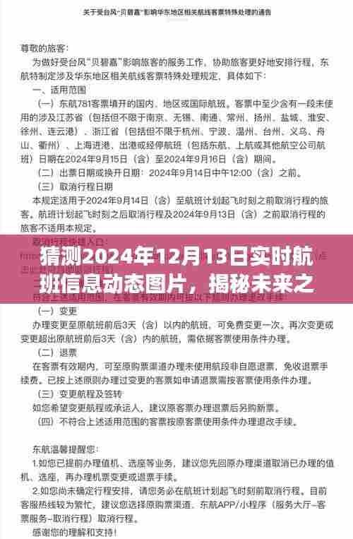 揭秘未来之门，预测与猜测2024年航班动态图像揭秘日（实时航班信息动态图片）