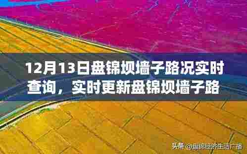 盘锦坝墙子路况实时更新，掌握路况信息，出行无忧！