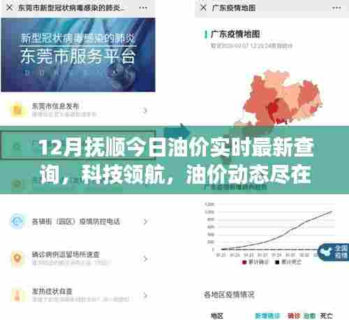 抚顺油价实时查询系统上线,掌握油价动态,科技领航助力油价资讯尽在指尖