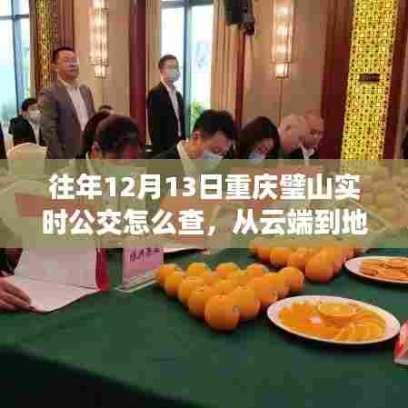 往年12月13日重庆璧山实时公交查询指南,励志之旅启程的必备工具!