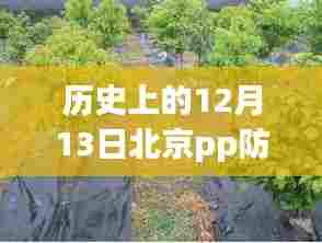 历史上的12月13日北京PP防草布实时报价深度解析及市场动态