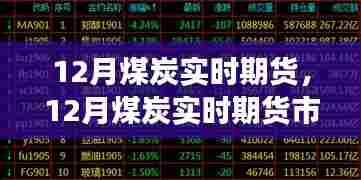 12月煤炭实时期货市场动态与趋势分析