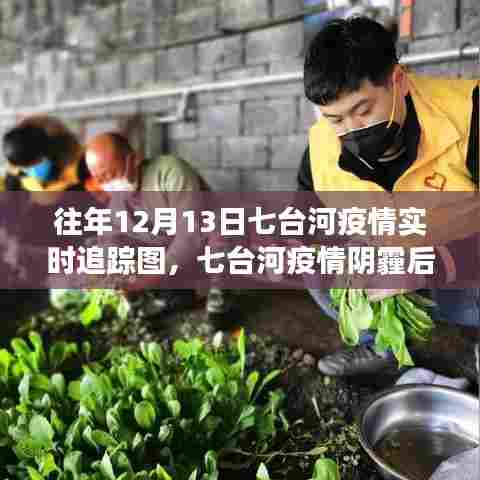 七台河疫情阴霾后的自然之旅,疫情追踪与内心平静的探险之路