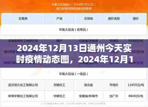 2024年12月13日通州疫情实时动态图及最新数据解析与防控措施