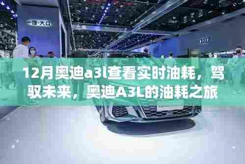 奥迪A3L油耗之旅，实时掌握，驾驭未来的自信与成就感