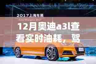 奥迪A3L油耗之旅,实时掌握,驾驭未来的自信与成就感
