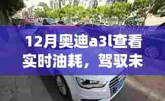 奥迪A3L油耗之旅,实时掌握,驾驭未来的自信与成就感