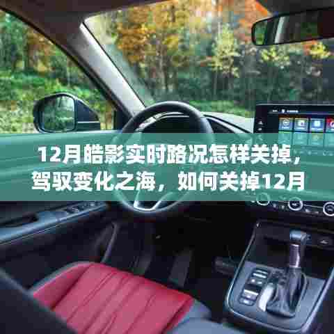 皓影实时路况关闭指南与开启自信成就之旅