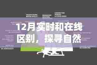 12月实时与在线探索自然秘境，追寻内心的宁静之旅