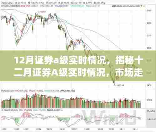 揭秘十二月证券A级实时动态,市场走势、行业聚焦与关键数据解读