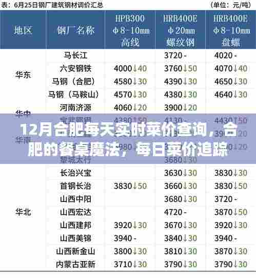 合肥餐桌魔法，每日菜价追踪与家的温馨故事，实时查询菜价助你料理家常