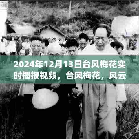 台风梅花壮丽交响，风云激荡中的自然交响乐实况播报视频（2024年12月13日）