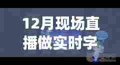 超越语言界限,实时字幕直播点亮你的十二月自信与成就之夜