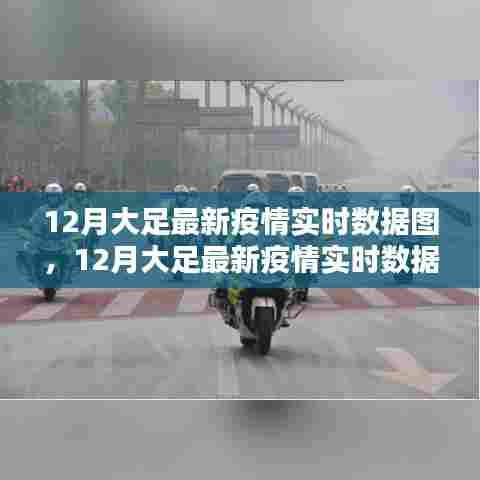 12月大足最新疫情实时数据图，全面评测与详细介绍