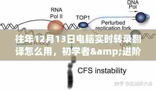 电脑实时转录翻译使用指南，适合初学者与进阶用户的全面教程（往年12月13日版）