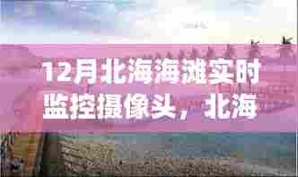 北海海滩，励志篇章与成就潮涌之地——十二月实时监控下的自信与变化之海