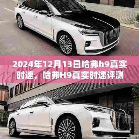 哈弗H9真实时速评测与深度分析，特性、使用体验与目标用户群体解析（2024最新版）