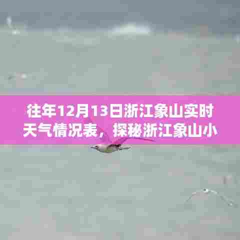浙江象山实时天气与小巷特色小店探秘,隐藏在天气中的惊喜