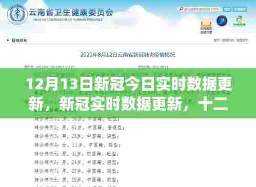 全球视角与影响回顾，十二月十三日新冠实时数据更新及分析