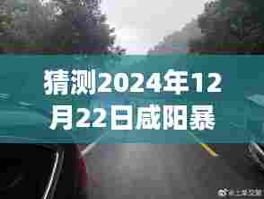 咸阳暴雨路况实时查询系统评测,精准预测未来交通信息,体验2024年12月22日咸阳暴雨路况新体验