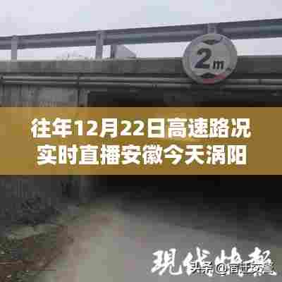 安徽涡阳北高速路况实时直播回顾与指南，如何查看往年12月22日路况直播记录