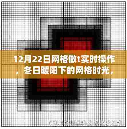 冬日暖阳下的网格时光，温馨T实时操作之旅