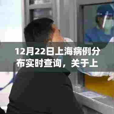 上海病例分布实时查询解读，以十二月二十二日数据为例