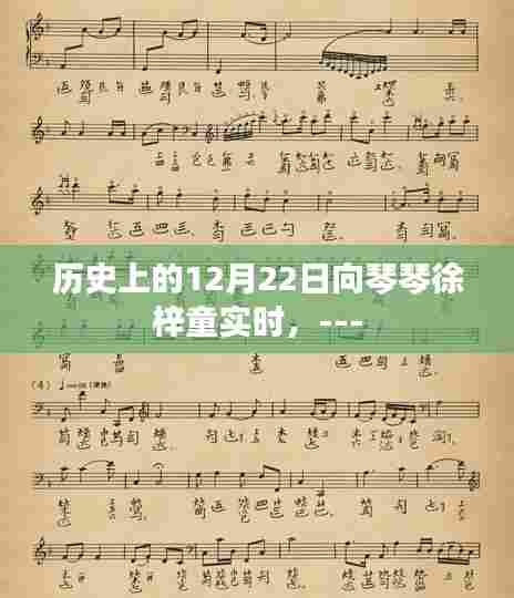 历史上的12月22日，向琴琴与徐梓童的实时记录