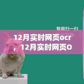 12月实时网页OCR技术的应用及其影响，深入探析某某观点