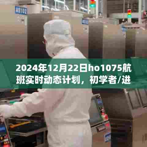 建议，掌握技巧，初学者与进阶用户适用的2024年12月22日HO1075航班实时动态计划查询指南