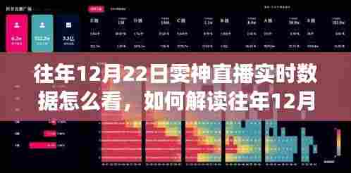 深度解读,往年12月22日雯神直播数据解析与实时分析