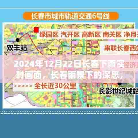 长春雨景下的深思，2024年12月22日实时雨景观察与思考