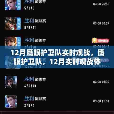 鹰眼护卫队实时观战深度解析，12月观战体验回顾