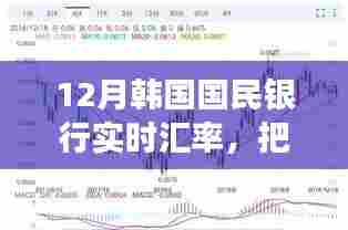 把握机遇,韩国国民银行12月汇率变化中的励志成长之旅