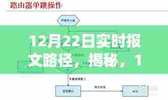 揭秘,12月22日实时报文路径的奥秘及其实际应用解析