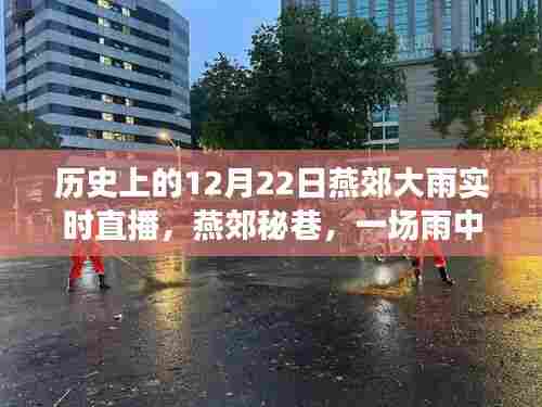 燕郊秘巷美食探秘之旅，雨中的独特美食与直播回顾