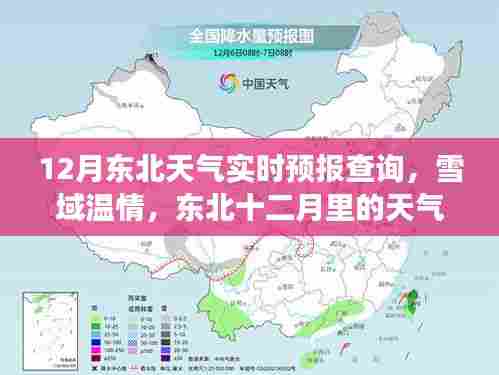 东北十二月雪域温情，天气预报与家的故事实时更新