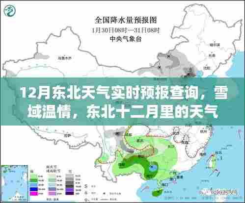 东北十二月雪域温情,天气预报与家的故事实时更新